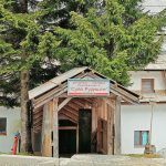 suvo rudiste kopanik dom zdravlja pozarevac 2023 2