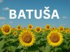 Jubilarni 20. „Dani suncokreta“ u Batuši 12. jula