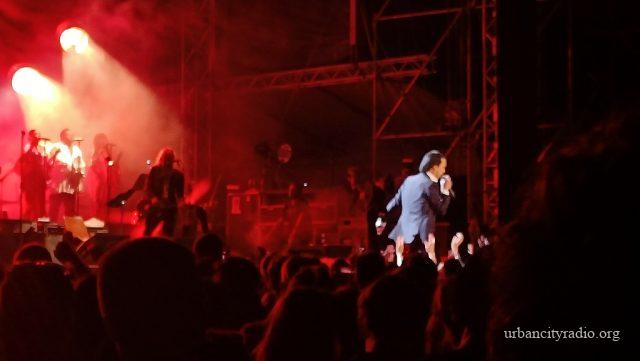 nick cave bp
