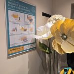 neutorth pozarevac 4