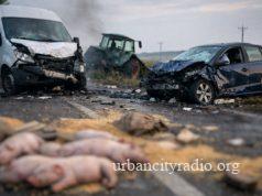 Sudar kod Lugavčine, prasići nastradali, vozači povređeni