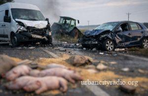Sudar kod Lugavčine, prasići nastradali, vozači povređeni