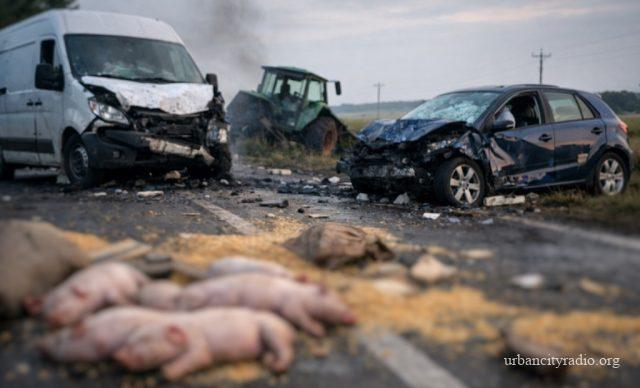 sudar lugavcina p rasici