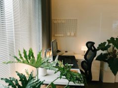 Radni sto sa monitorom, ergonomskom stolicom i sobnim biljkama pored prozora