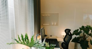 Radni sto sa monitorom, ergonomskom stolicom i sobnim biljkama pored prozora