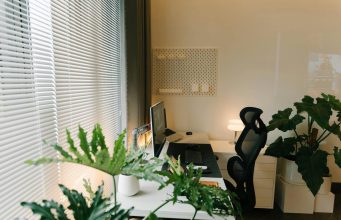 Radni sto sa monitorom, ergonomskom stolicom i sobnim biljkama pored prozora