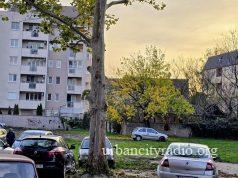 U toku izgradnja novog parka u ulici Bojane Prvulović