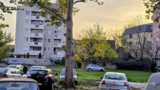 bojane prvulovic igraliste