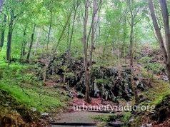 17. Homoljski maraton 11. aprila – tri staze i vredne nagrade za najbolje