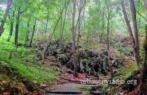 17. Homoljski maraton 11. aprila – tri staze i vredne nagrade za najbolje