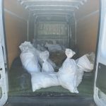 Cacalica – akcija – 1