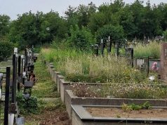 Komunalne službe Požarevac: Održavanje grobnih mesta je obaveza korisnika
