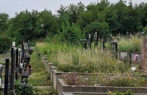 Komunalne službe Požarevac: Održavanje grobnih mesta je obaveza korisnika