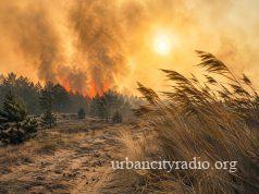 Deliblatska peščara pod meteorološkim upozorenjem